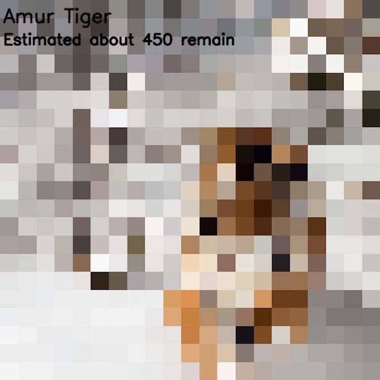 Endangered Species Pixelated Photos by JJSmooth44