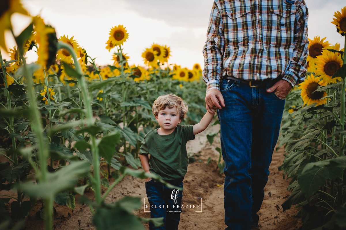 Fall Family Photography