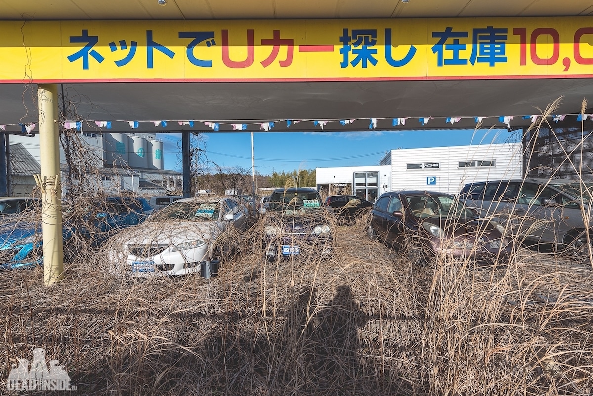 Fukushima Exclusion Zone Photos by Natalia Sobanska