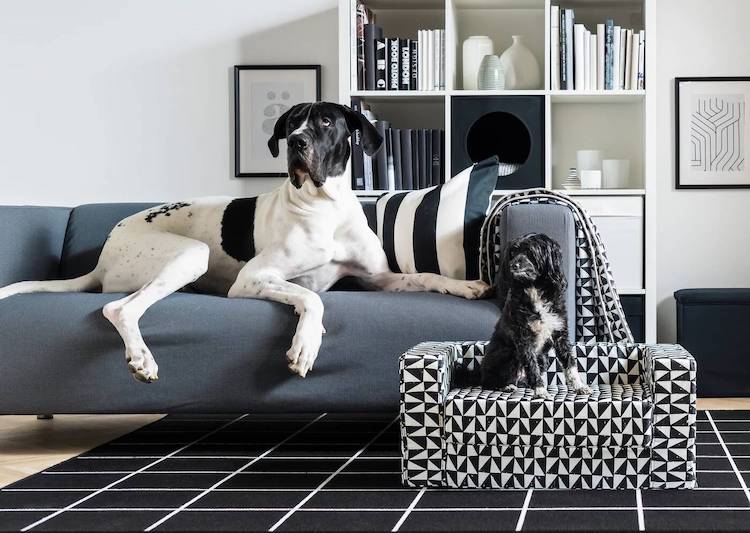 IKEA ahora tiene muebles para mascotas