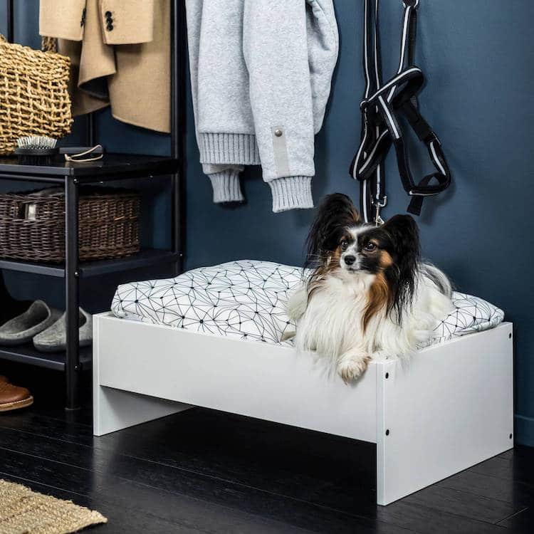 IKEA Pets Now Have Stylish Furniture Their Humans Will Love