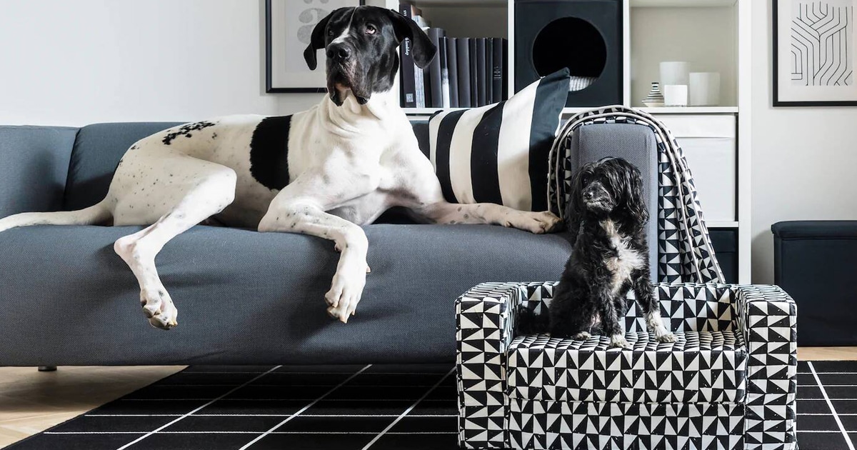 IKEA ahora tiene muebles para mascotas