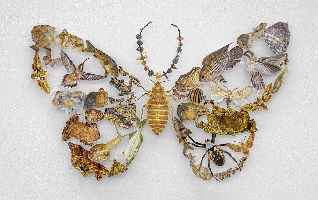 Nature Collages by Reflect "Time of Ecological Mourning"