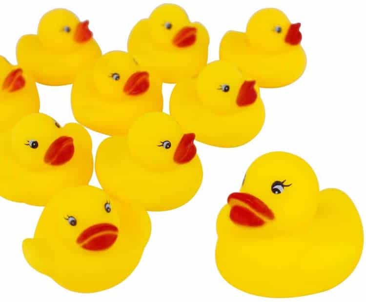 Canards en Plastique