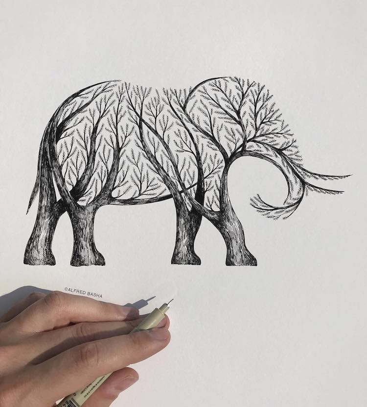 dibujos de animales en blanco y negro por Alfred Basha