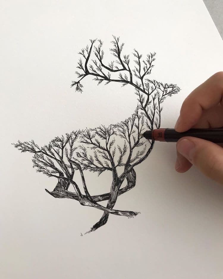 Pen and Ink Drawings by Alfred Basha