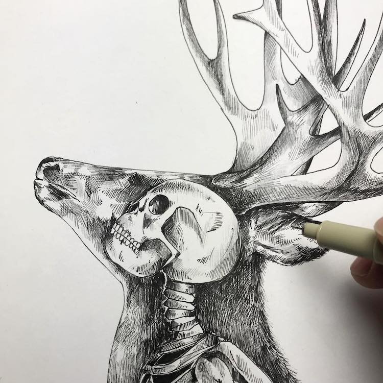 Pen and Ink Drawings Illustrate the Human Connection with Nature