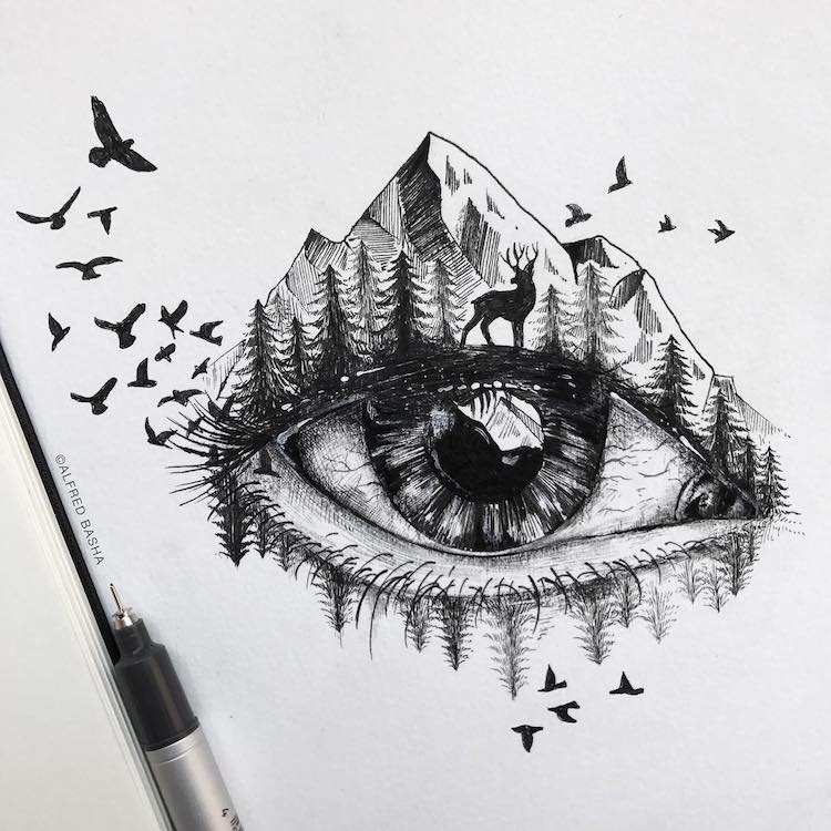 Pen Drawings Of Nature