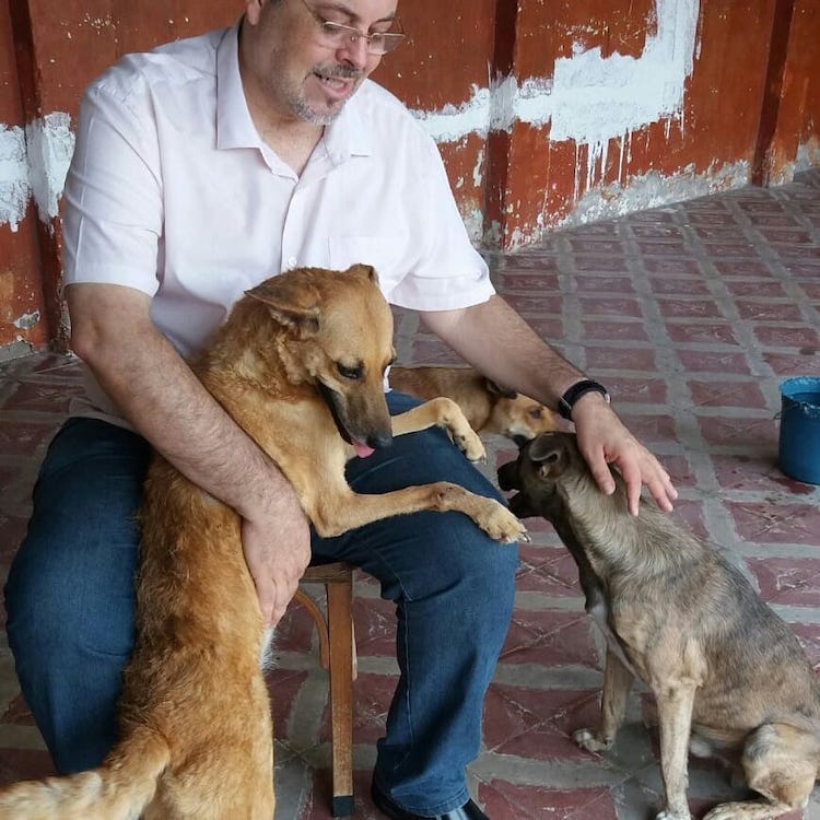 Priest Petting Stray Dogs