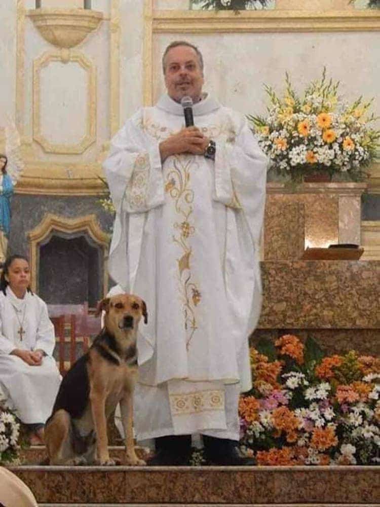 sacerdote perros callejeros brasil