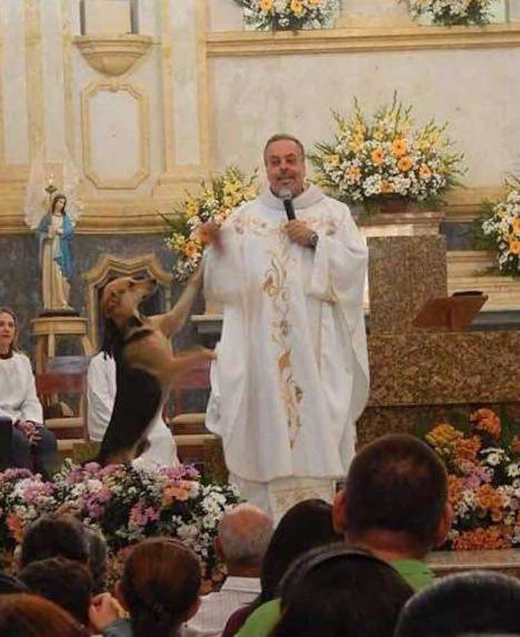 Priest Brings Stray Dogs to Church