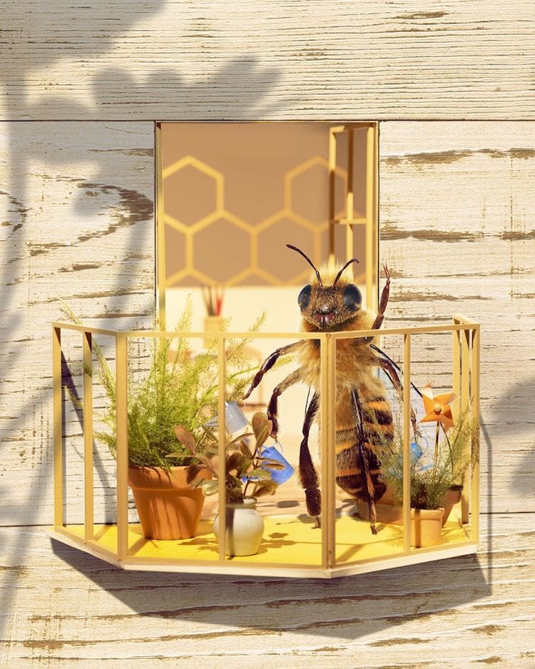 Save the Bees Influencer