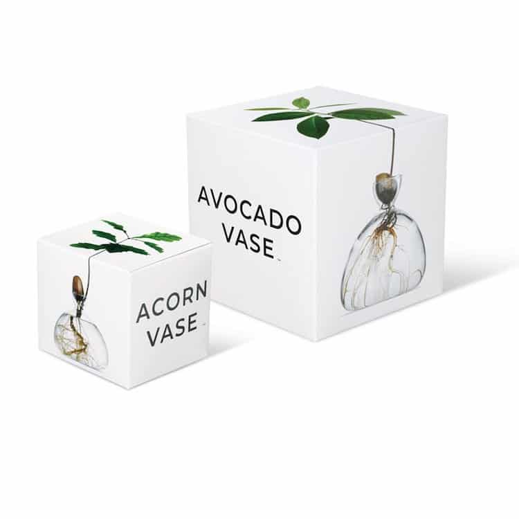 Acorn and Avocado Tree Glass Vase by Ilex Studio