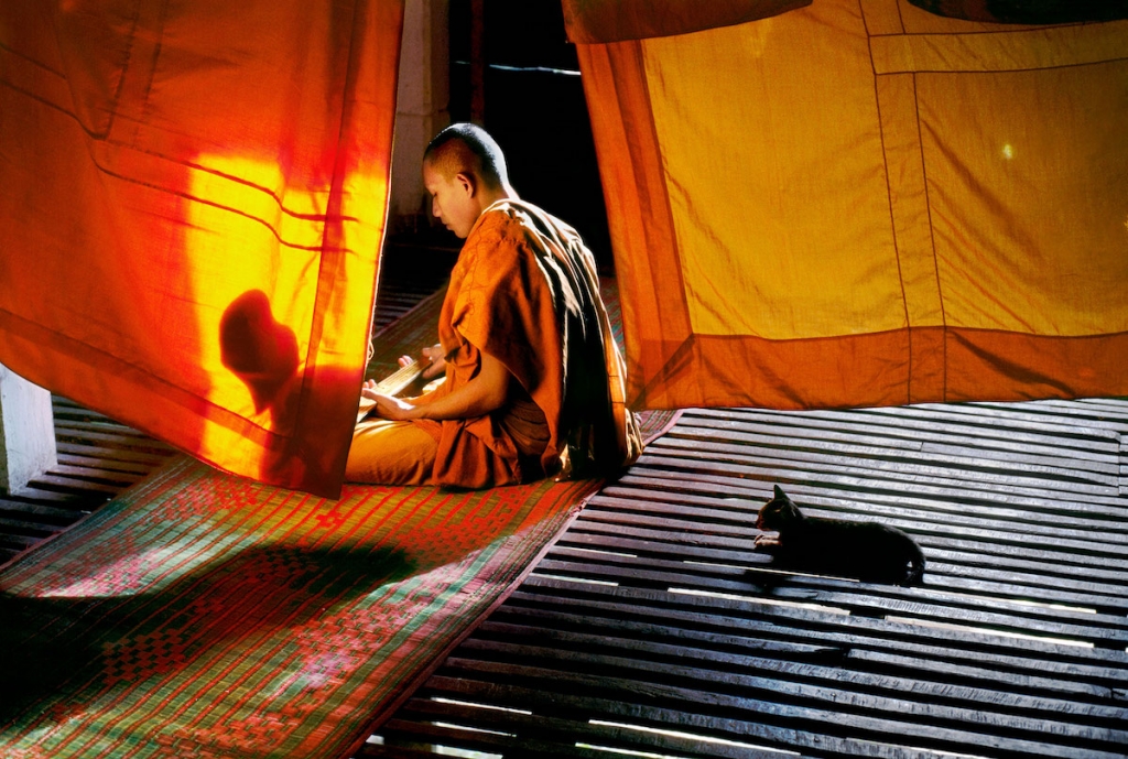  monje y gato en tailandia por Steve McCurry