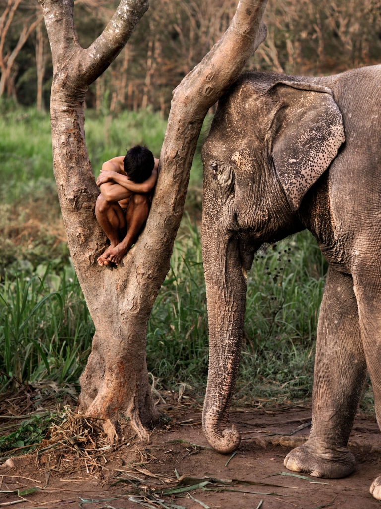 Mahout et son éléphant dans un sanctuaire. Chiang Mai par Steve McCurry