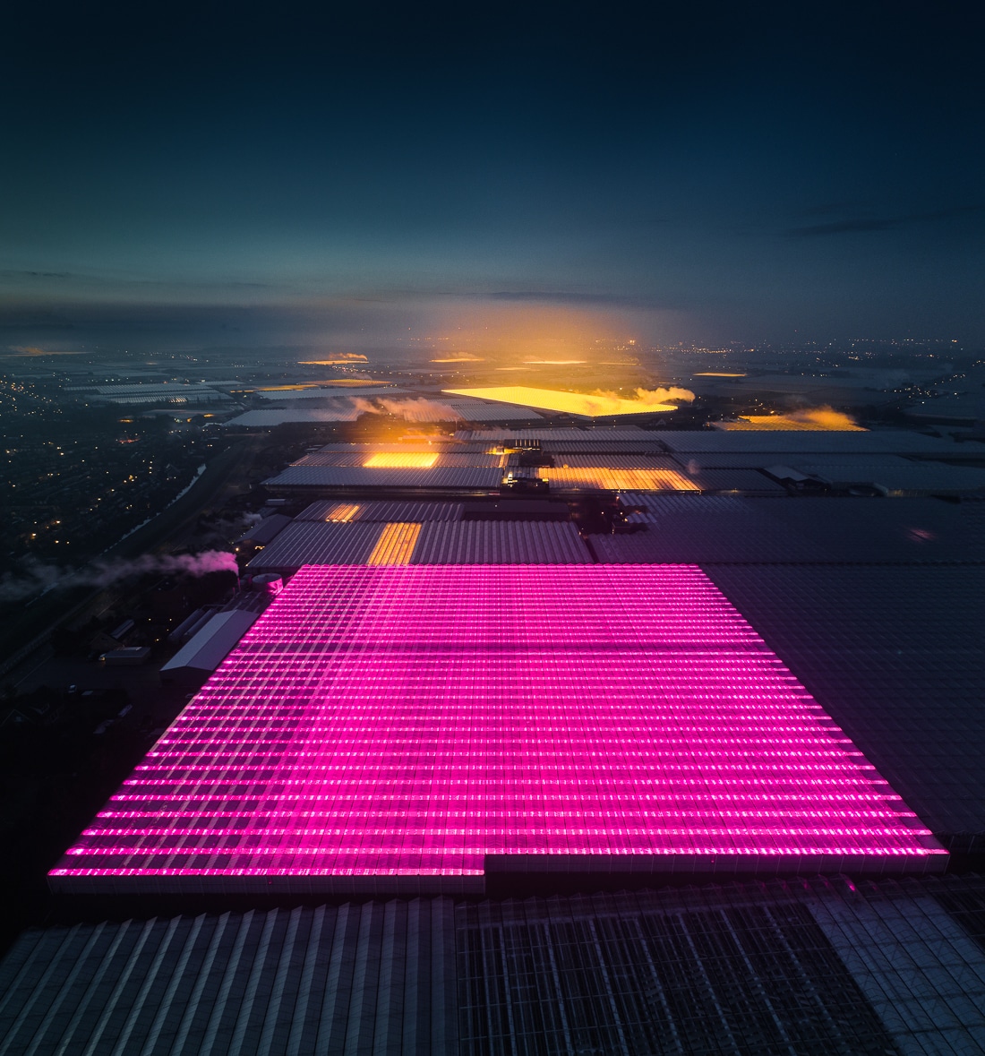 Invernaderos LED en los Países Bajos por Tom Hegen