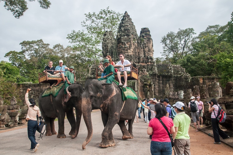 Camboya Prohibe Los Paseos En Elefante En Angkor Wat