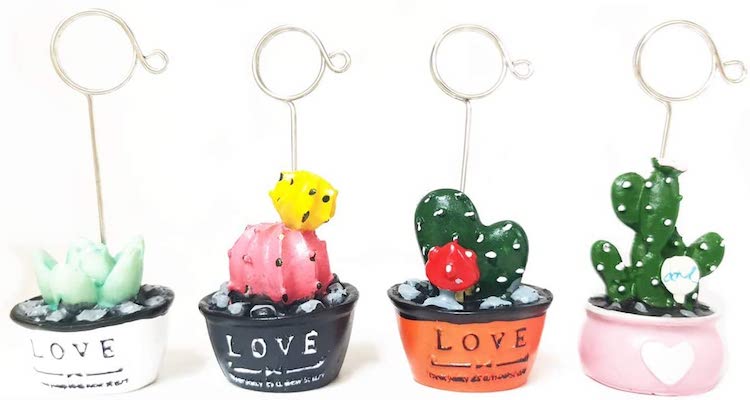 Cactus Photo Holder