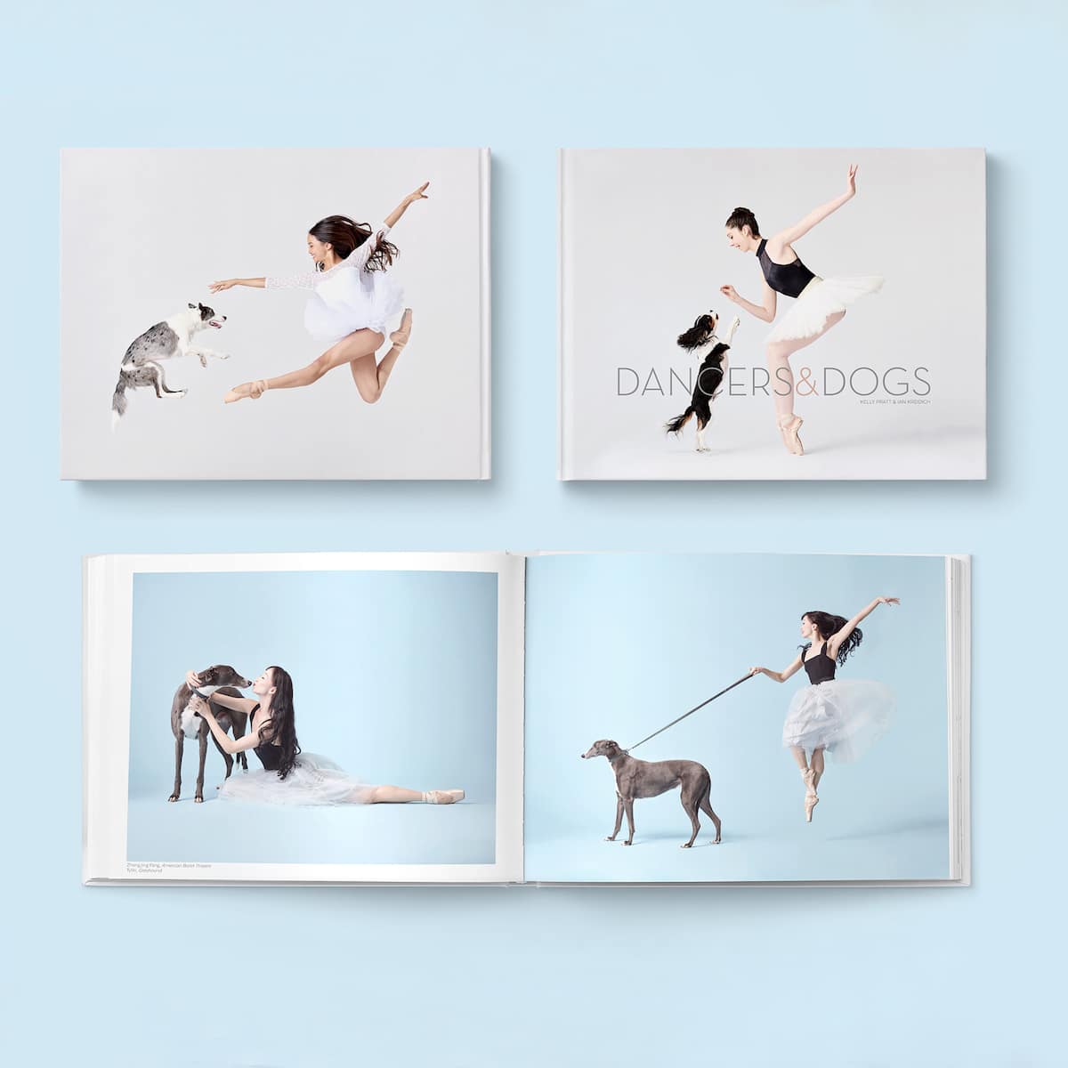 Dancers and Dogs - libro