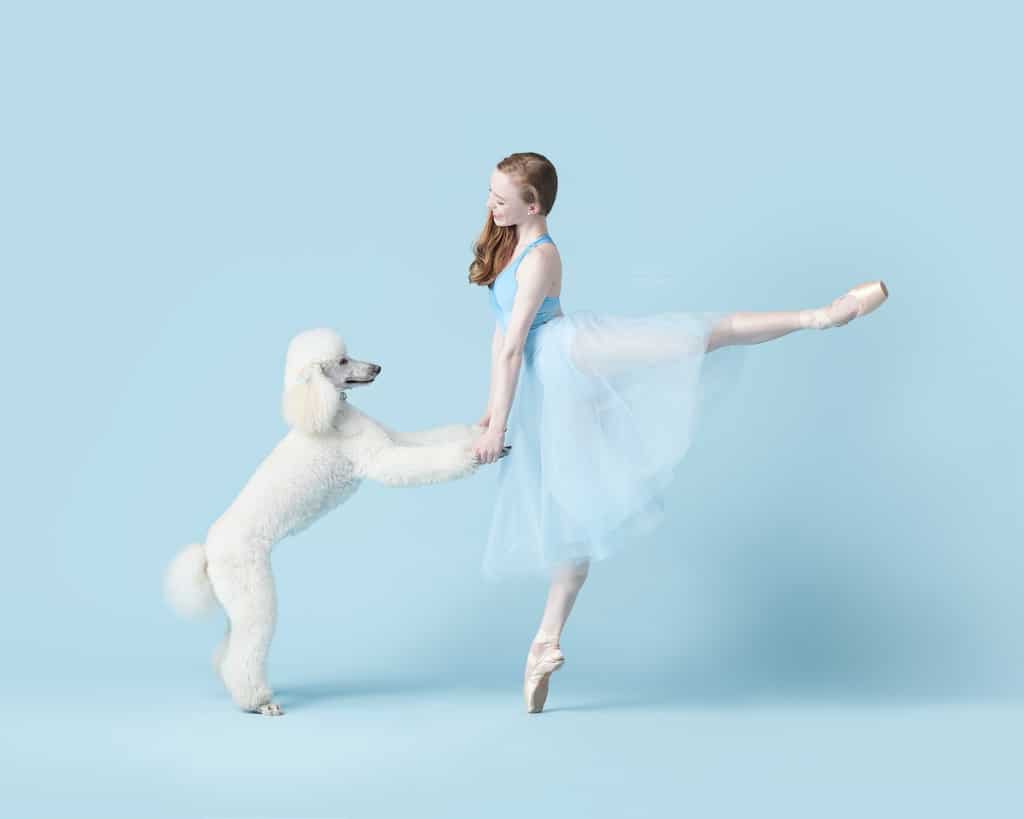 Professional Dancers Pose with Adorable Pups in Unique Photoshoot