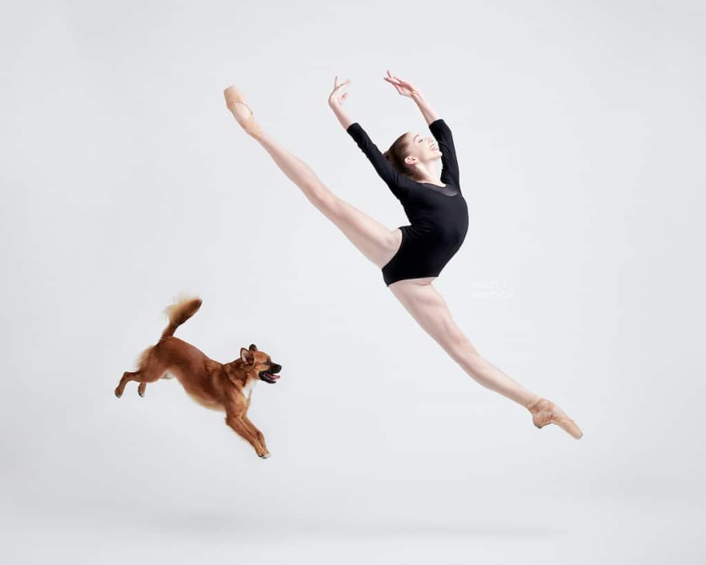 Bailarines profesionales posan con perros adorables en fotos originales