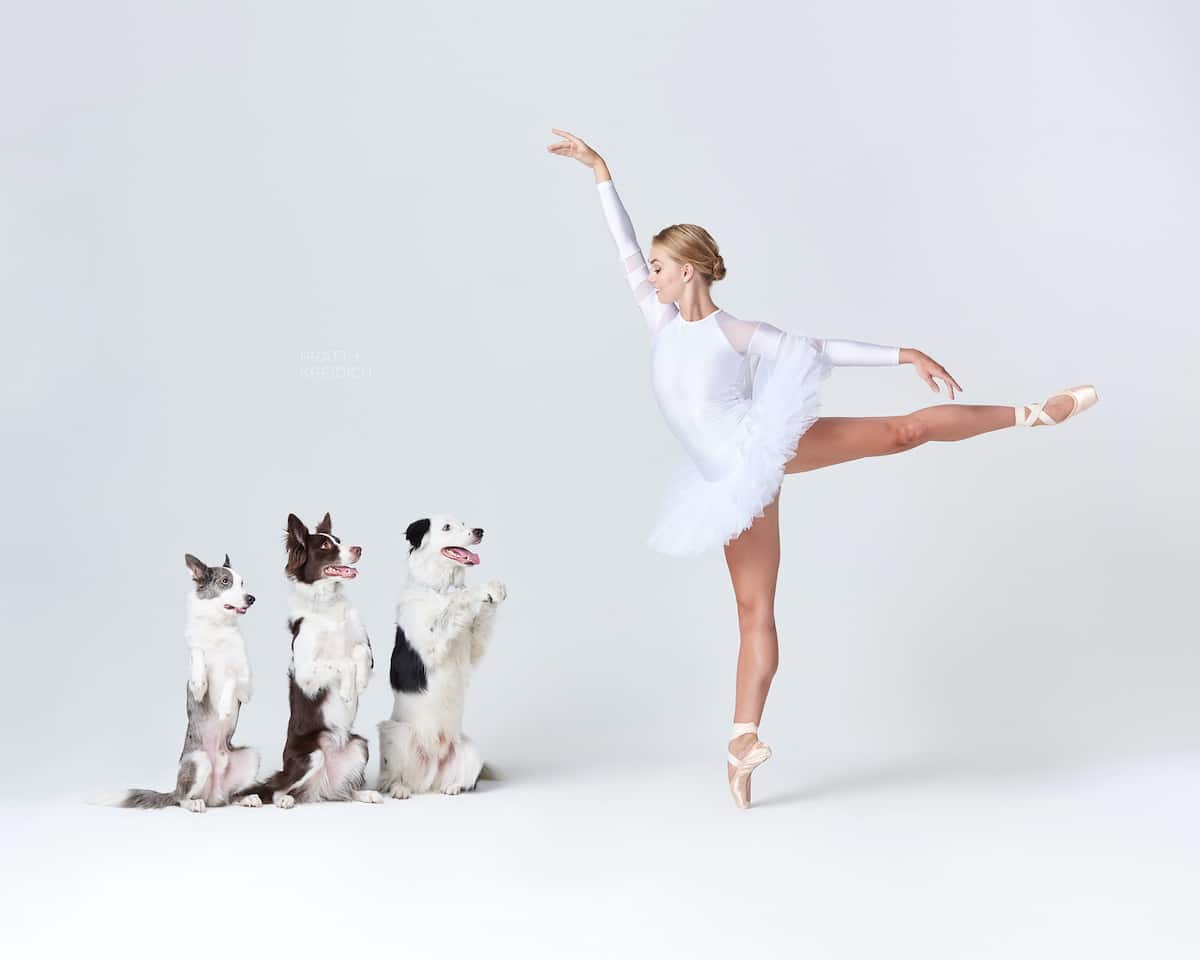 Fotos originales de perros con bailarina de ballet