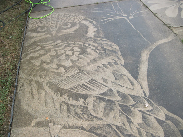 Driveway Pressure Washer Art