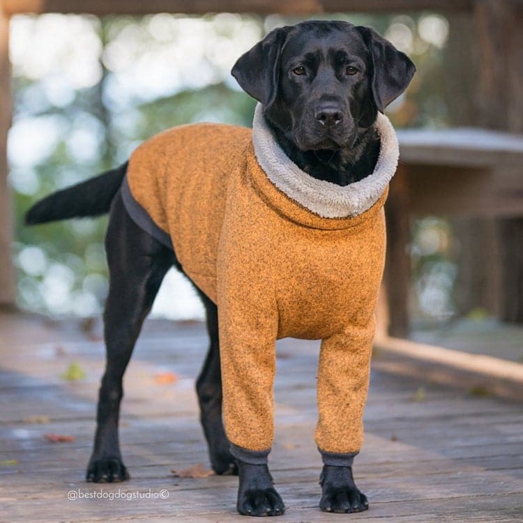 Dog Fleece Coat