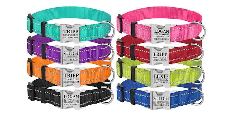 Reflective Tagless Dog Collar