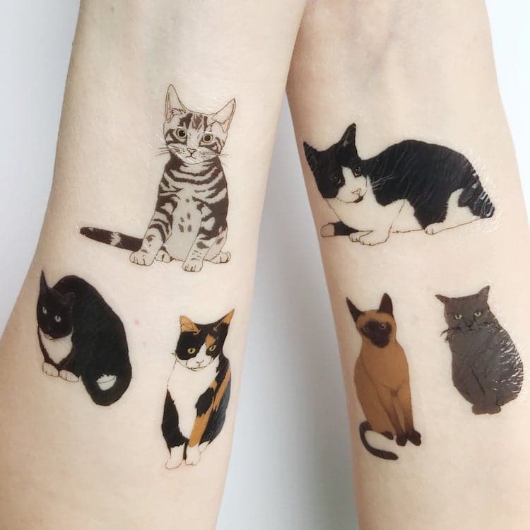 Tatuajes temporales de gatos