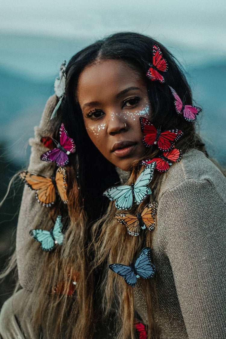 Butterfly Hair Clips