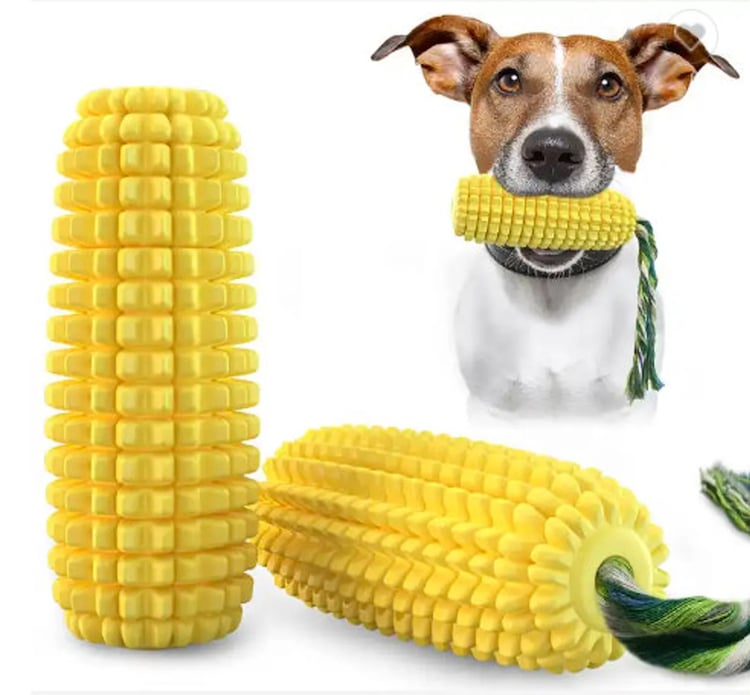Corn chew squeaky dog toy