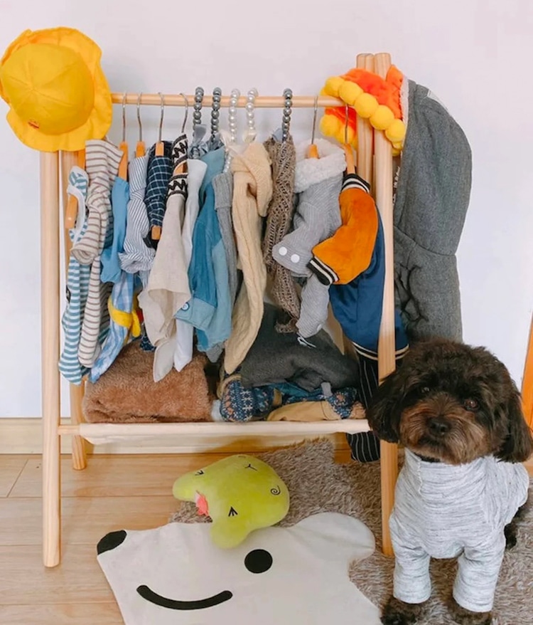 Dog Clothing Rack