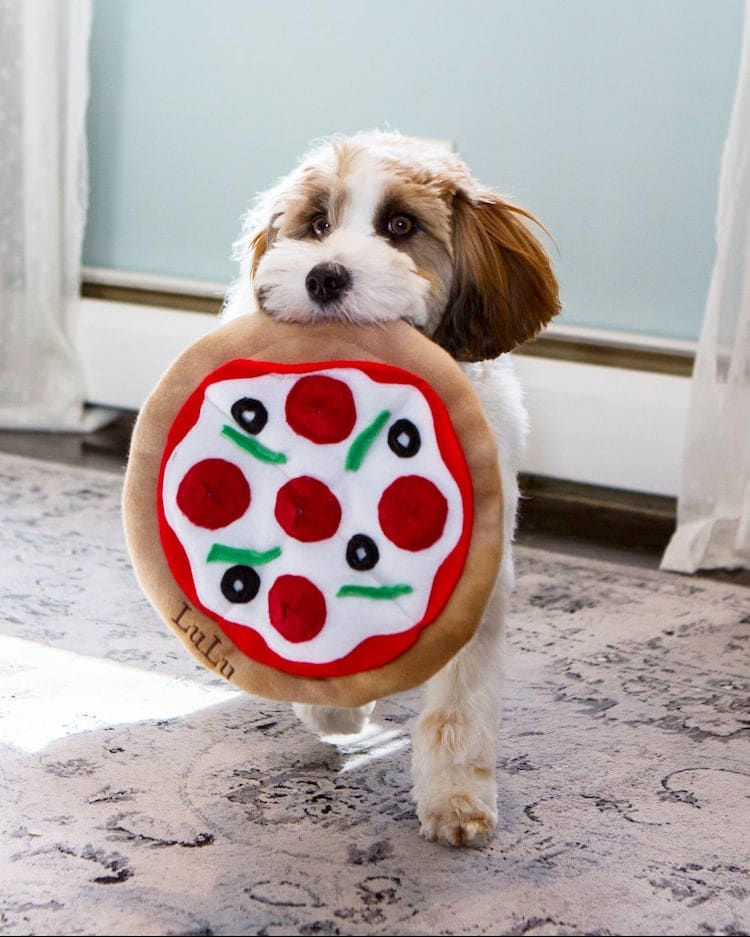 Pizza Dog Toy