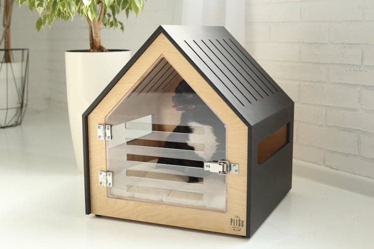 Modern Dog House