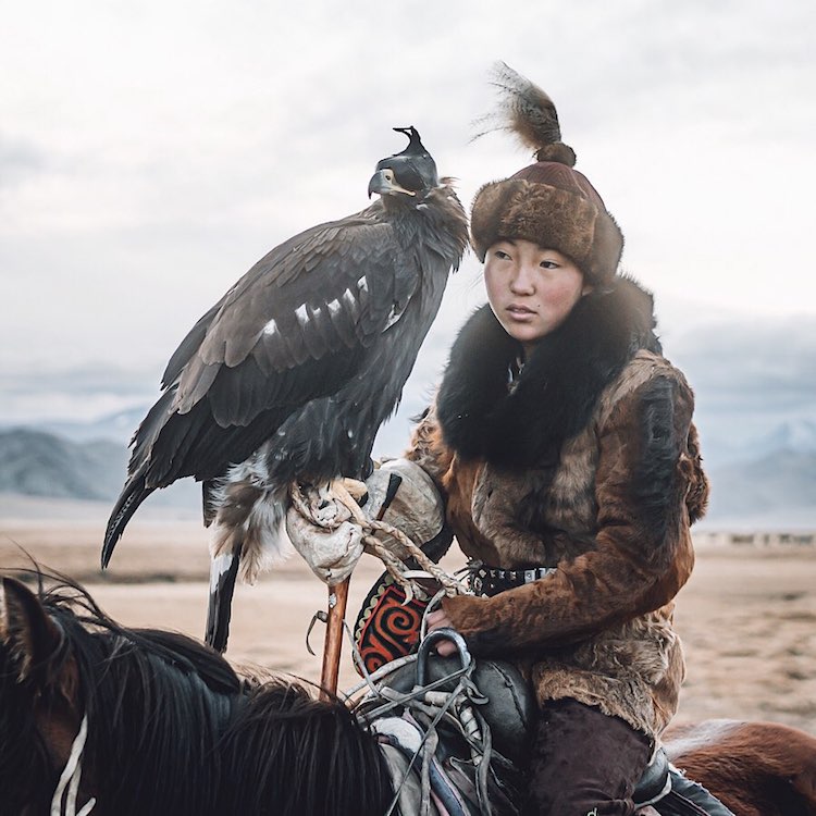 Caza con águilas mongolia