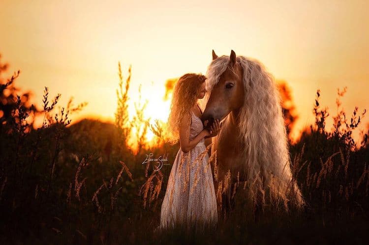 Girl and Horse