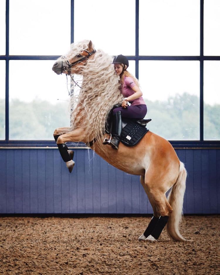 A Girl Riding a Horse