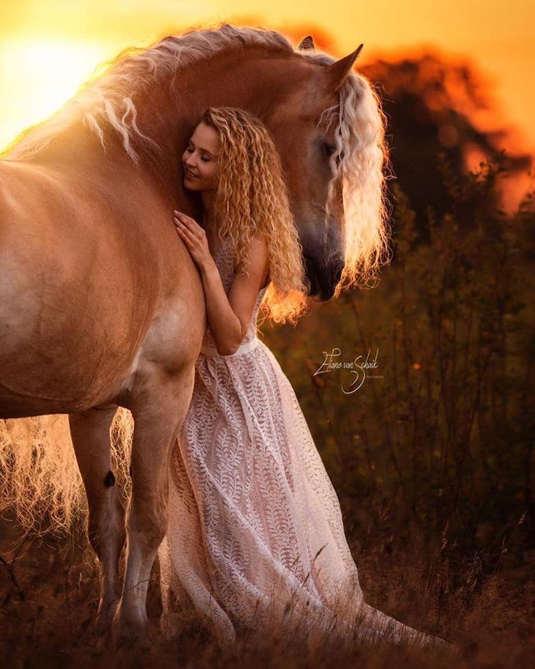 Girl and Horse