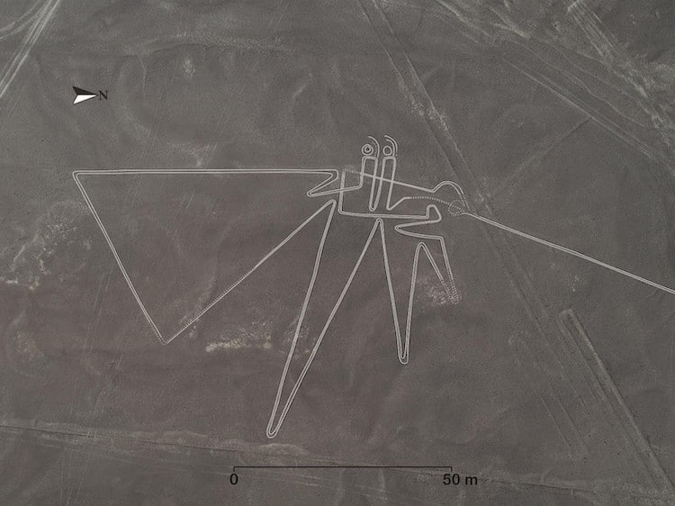 Geoglyph in the Shape of a Bird at Nazca Lines