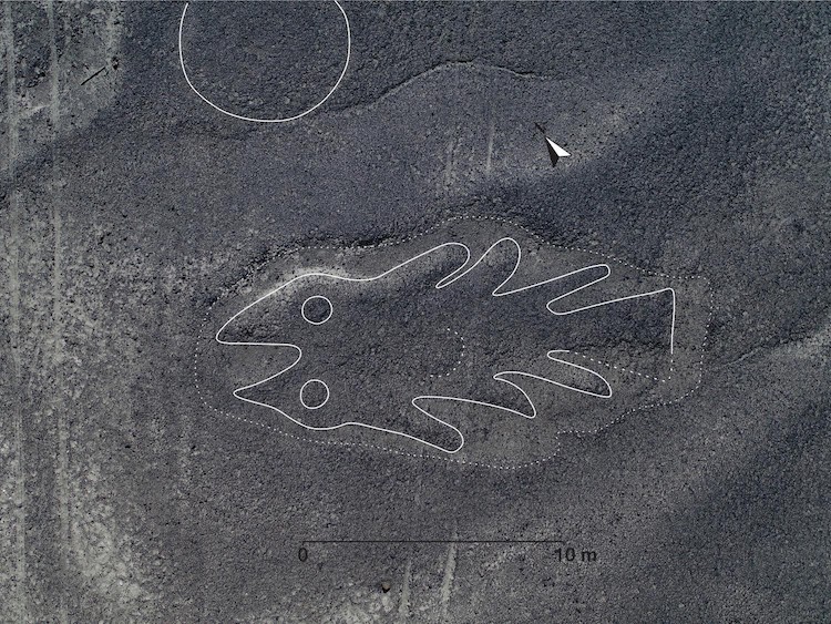 Geoglyph in the Shape of a Fish at Nazca Lines