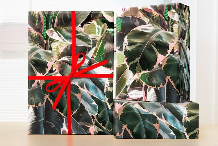 Plant Wrapping Paper