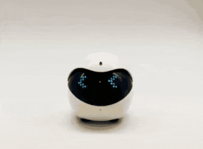 Robot Cat Toy Ebo