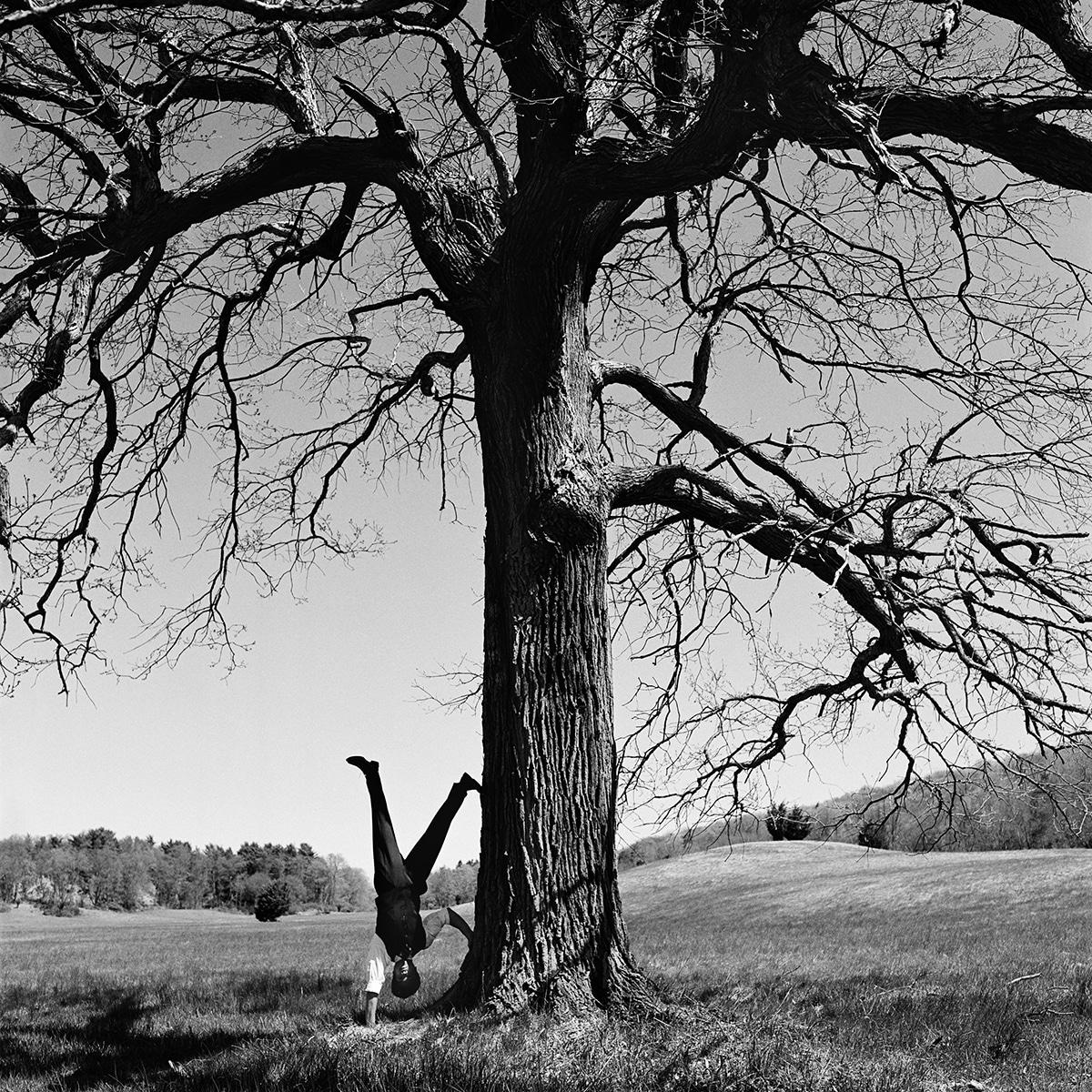 Surreal Nature Photography Rodney Smith