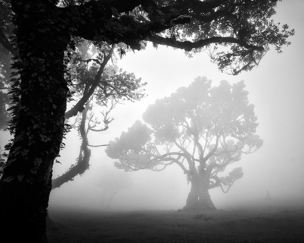 fotografías en blanco y negro por Michael Schlegel