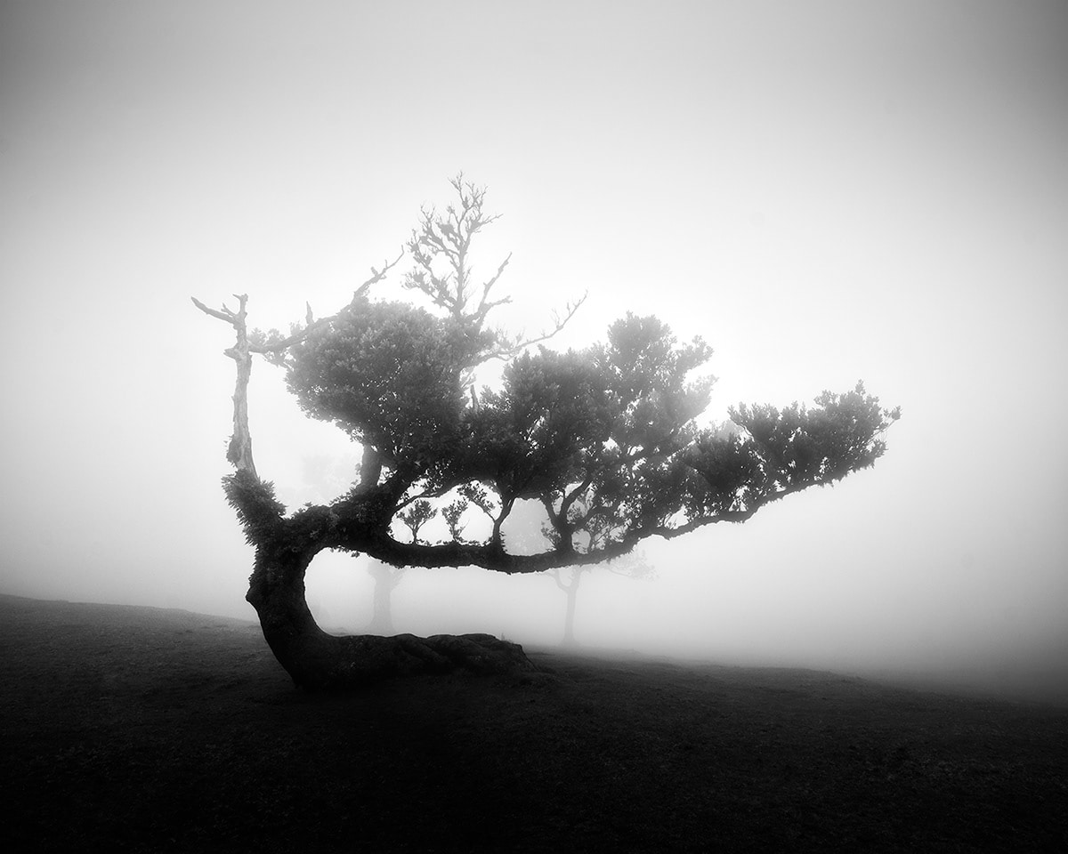 fotografías en blanco y negro por Michael Schlegel