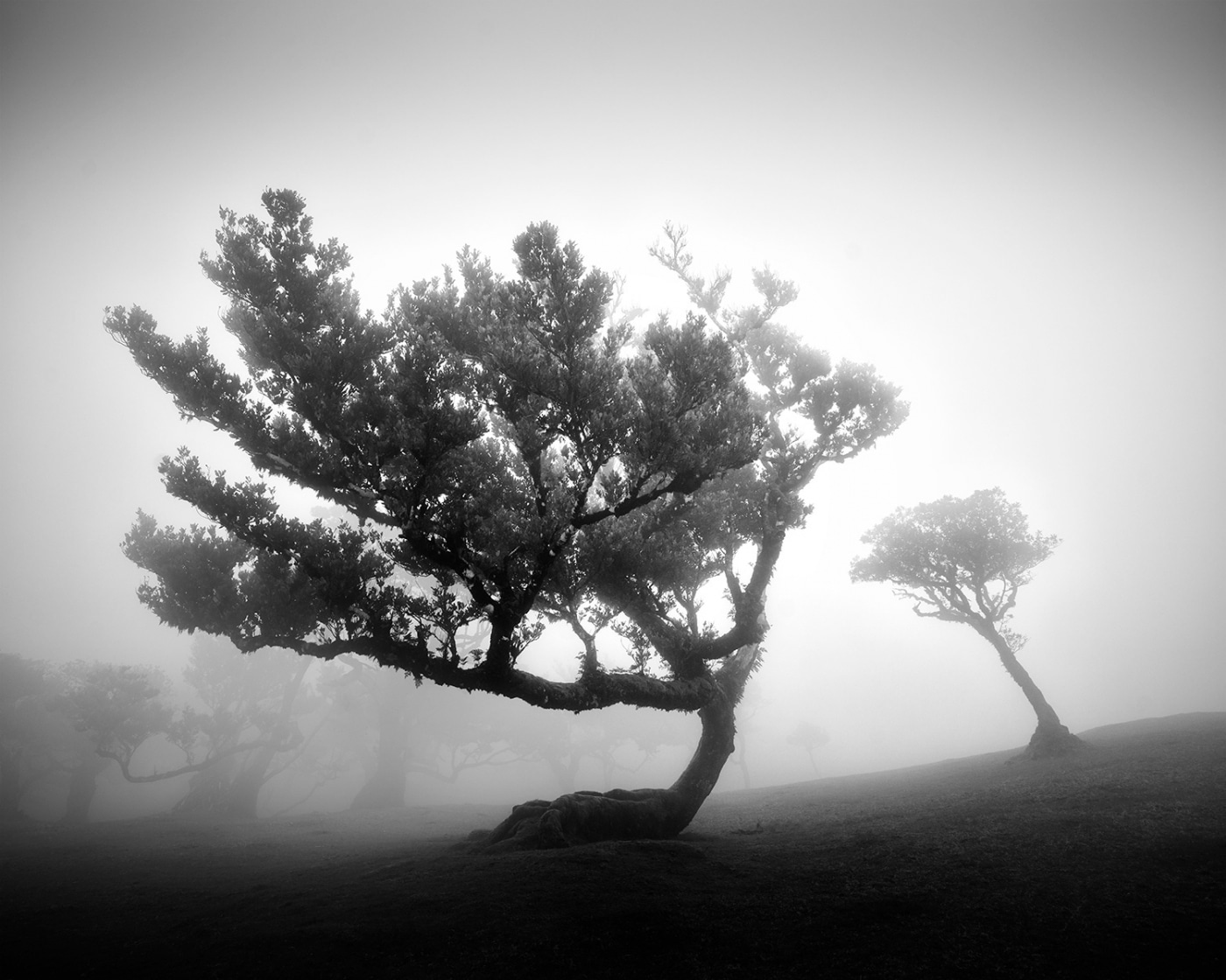 fotografías en blanco y negro por por Michael Schlegel