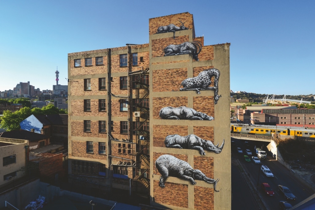 ROA Street Art in South Africa