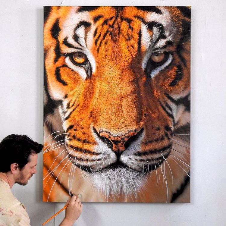 Hyperrealistic Paintings Capture the Stunning Beauty of Wild Animals