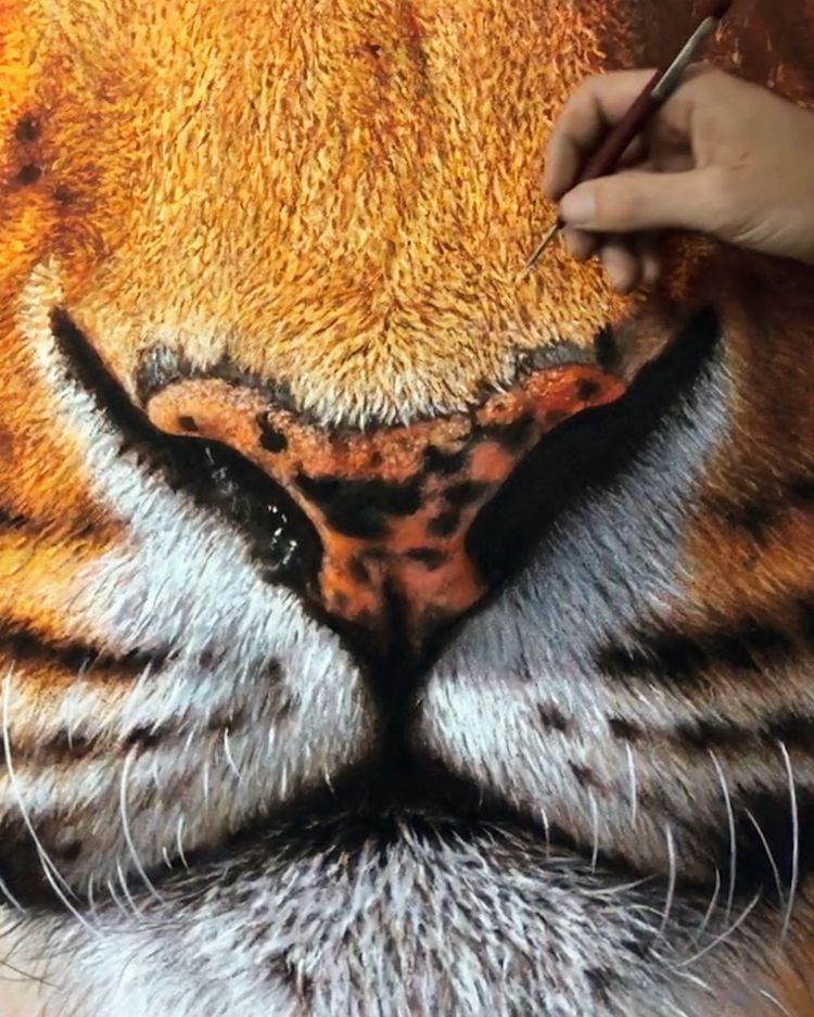 Animal Paintings by Nick Sider